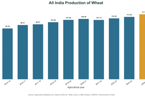 Bar Diagrams: All India Area, Production and Yield of Wheat